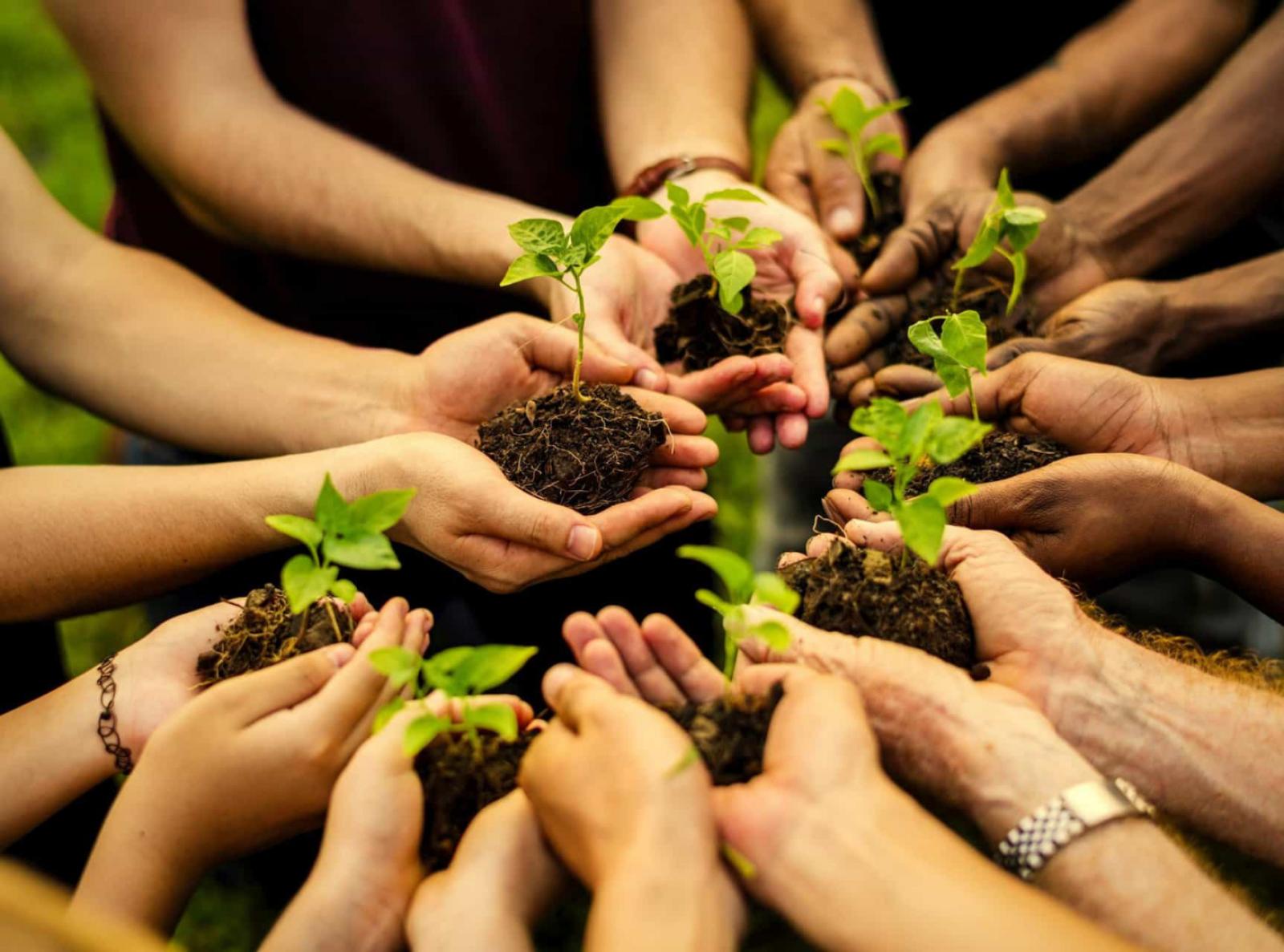 Direito Ambiental